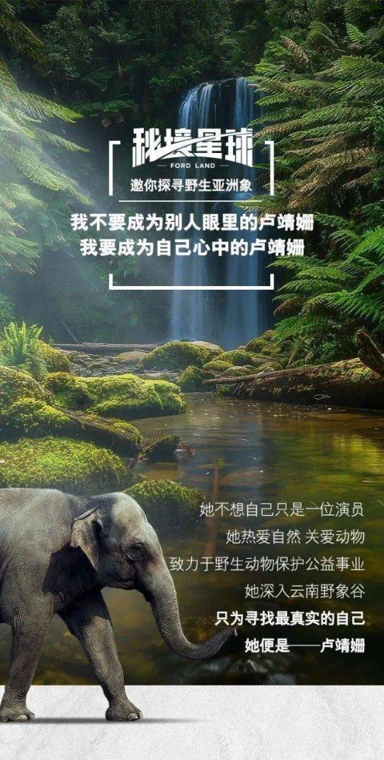 有啥好看的电视剧啊？求推荐-知识星球平台，带你开启知识之旅